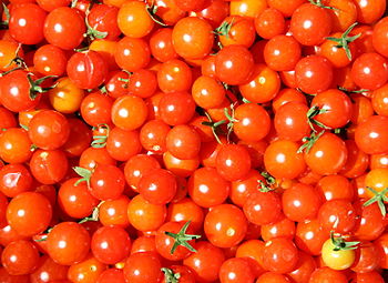 English: Super Sweet 100 Cherry Tomatoes
